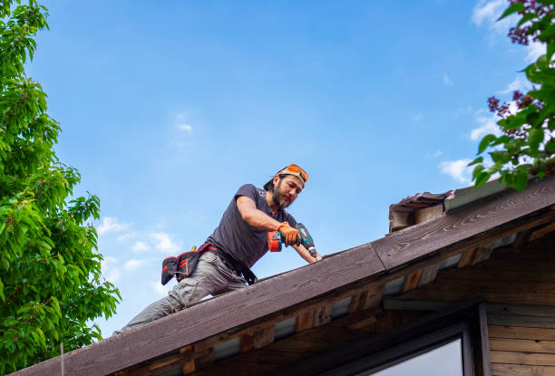 Best Asphalt Shingle Roofing  in New London, OH